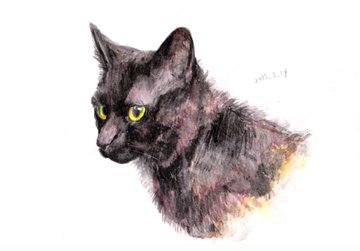 画面越しでにやにやが止まらない 猫に叱られたい人におすすめなスマホロック画面用イラスト ねこナビ
