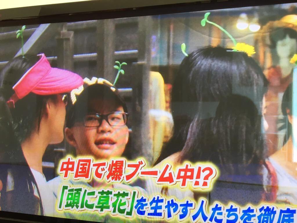 ハチミツ飽きた Pa Twitter 中国人が頭につける芽のアクセサリー 意味わからんwww ダサい Wwww と日本で話題になりましたが 結論 付ける人によります 芽が生えたテテ かわいいです T Co Itqzcfizah Twitter