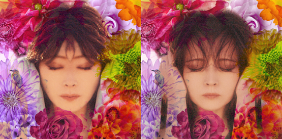 Ki菜 Pa Twitter 予告編で流れる魅力的な歌声は 中森明菜 Fixer ミディアムテンポの英語詞で繊細なボーカルが演奏と融合し妖艶な雰囲気を感じさせる曲 T Co Jfyjoosa6n 12 30発売 初回盤 左 通常盤 右 2種類 T Co Fqmfxuyk12 Twitter