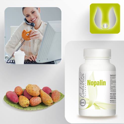 ComenziCalivita's tweet image. SCADE GLICEMIA, AJUTOR IN CURELE DE SLABIRE, DETOXIFIERE
Promotie #FlexiPack #Nopalin &amp;gt;&amp;gt; buff.ly/1RdNkSe