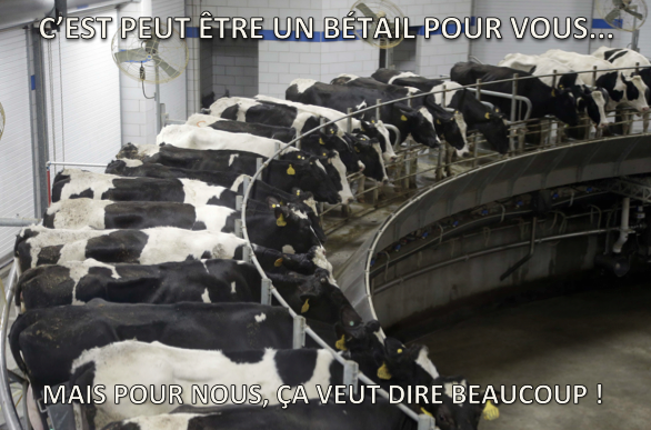 ZeroEpicerie's tweet photo. @L214 On a ça en tête ce matin +votre logo ce serait fort... si jamais ça n'existe pas déjà ;) #MilleVaches #COP21 https://t.co/6SzDkXdLaJ