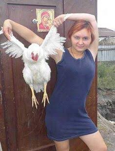 RussianProfiles's tweet image. "I'll cluck for you baby" #RussianDatingProfiles