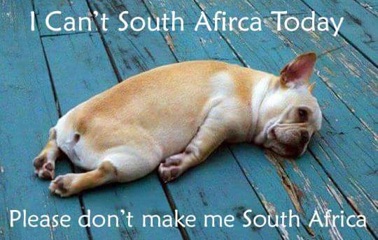 #ZumaMustFall zeitgeist.