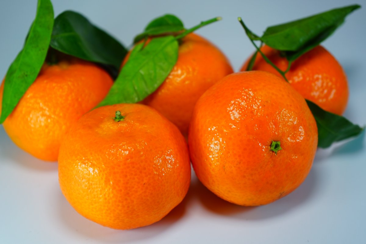 RegalEarth's tweet photo. These Sweet Orange Oil Benefits and Uses will brighten your Day -  https://t.co/hbmnar3wxr https://t.co/Vcx6UUv4Zt