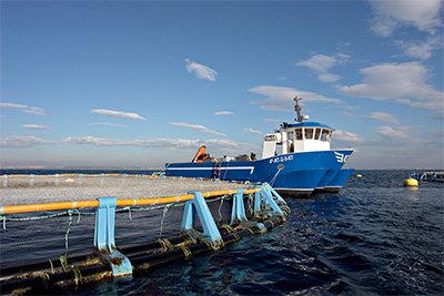 La #acuicultura española contará con 274,54 mill. euros como contribución pública hasta 2020
bit.ly/1NRfN9K