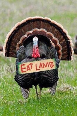 Sharing the #Xmas message 😜