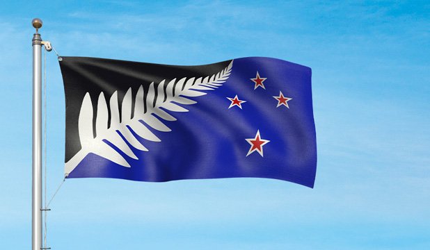 NZStuff's tweet photo. We have the winner! Kyle Lockwood's Silver Fern (Black, white and blue) #nzflag https://t.co/cbIiieVUOc https://t.co/xb4cIoDrs1