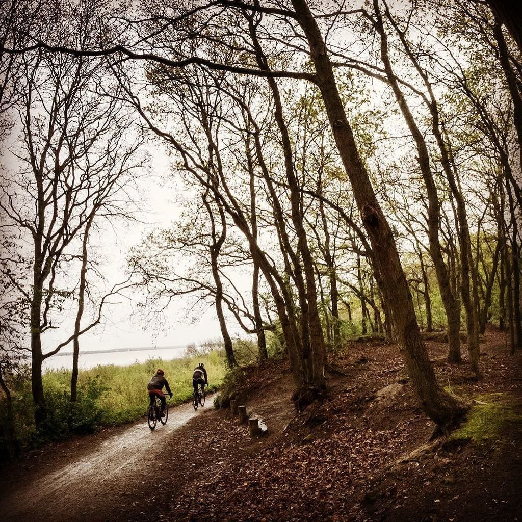 Hotchillee's tweet photo. Try out some gravel riding this winter and explore.
#OFFRIDING #hotchillee #gravel #opency⦠https://t.co/G3C1JwDAJ8 https://t.co/MAHgkKFj9N