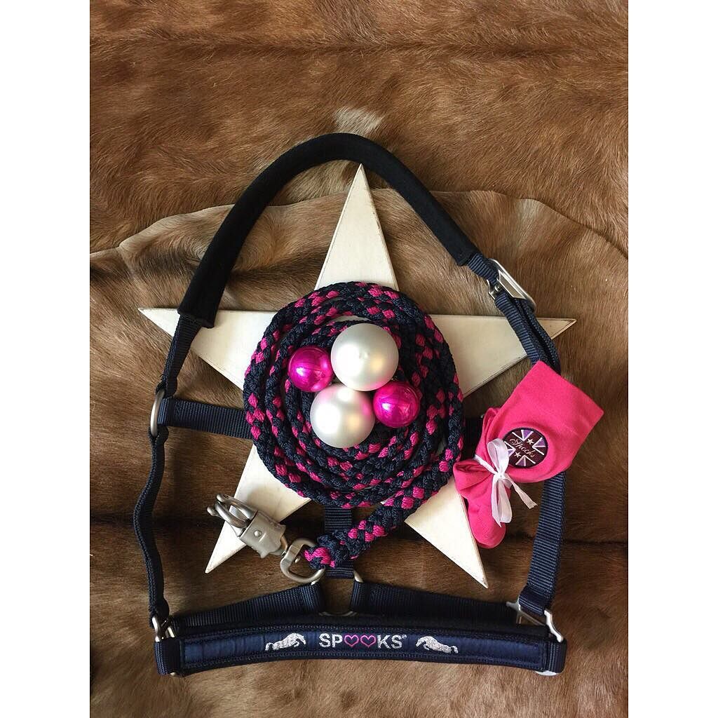 EQPpics's tweet photo. Post by spooks_denmark: 🎀 habt ihr schon alle Weihnachtsgeschenke?🎀 #spooks #spookshalfter #spooksriding #spooksnew… https://t.co/E3z39NVcY9