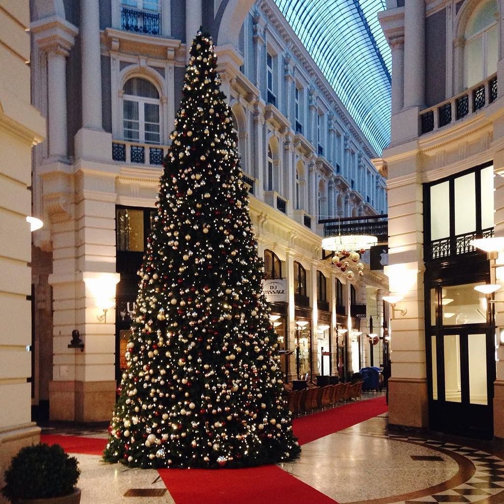 kerstmis's tweet image. Wij zijn dol op kerstbomen: Before 9am, the city is empty and quiet. 
K wie "Kerstboom" . #abcfee2015 
#weihnachtsb…