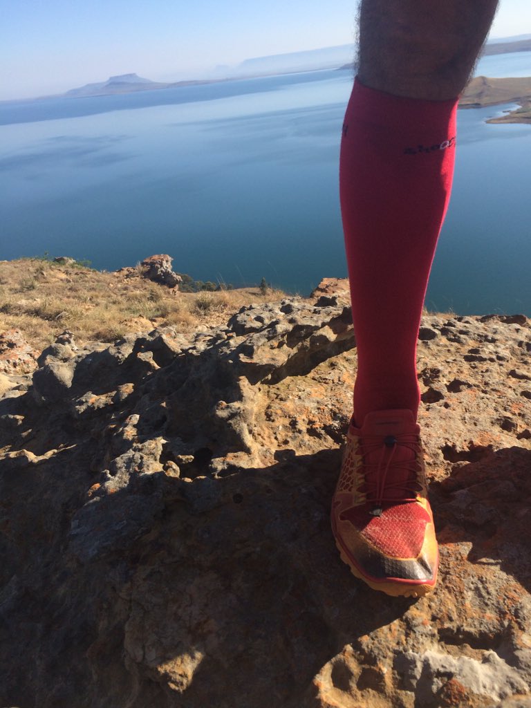 Craig Carolan tweet media