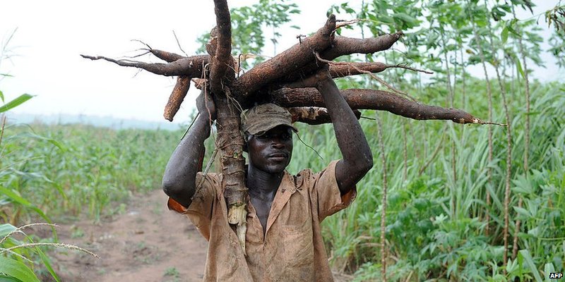 Unjust desserts - How Africa faces climate change disaster not of its own making 
#COP21 bbc.in/1RdLctC