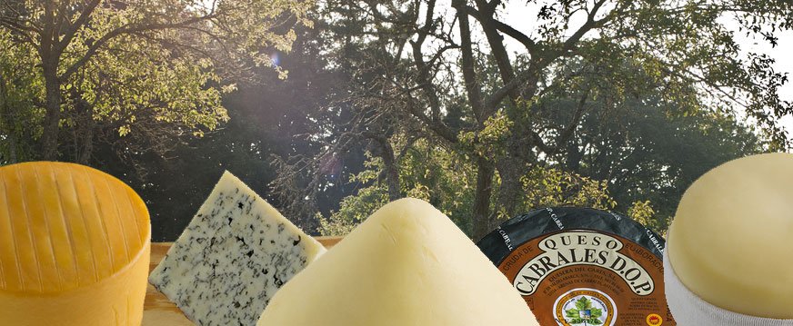 Clubdequesos's tweet image. Buy spanish cheeses direct from the cheese makers themselves! clubdequesos.com/en   #cheee #cheeselovers #food