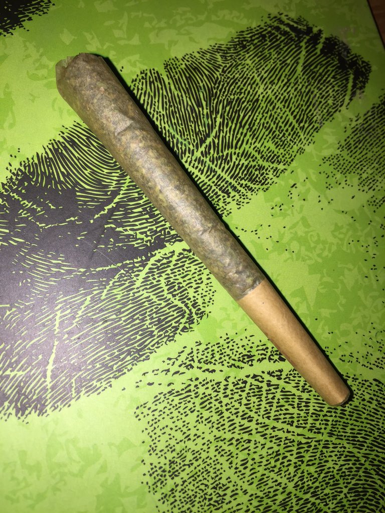 GreenThumbGirls's tweet photo. #OGKush from @313ADAEast 
The budtender opened the jar. I nearly fainted cuz' smell. #yummy strongAF #Nightcap #420 https://t.co/rssqn85z6P