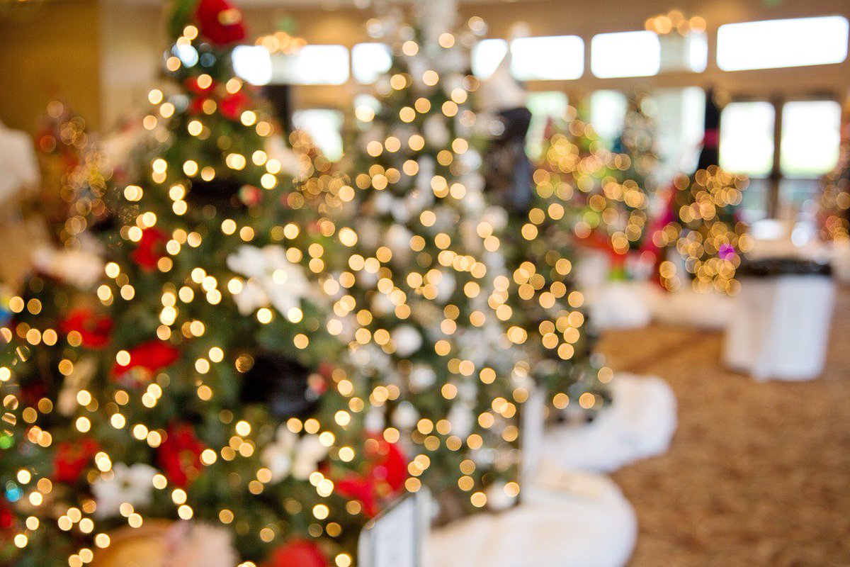 TurxArg's tweet photo. En 2 semanas es #Navidad ¿Alguien más está contando los días? ¿Cuál es el mejor lugar de #Argentina para celebrar? https://t.co/FbP3kzQkic