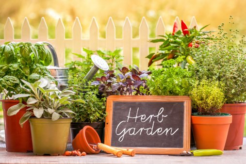 FutureFood2050's tweet photo. Homegrown is the new local food movement https://t.co/QOVyugRDwP @circulatenews #homegrown #urbanfarming #ff2050 https://t.co/1S7gQnkZO9