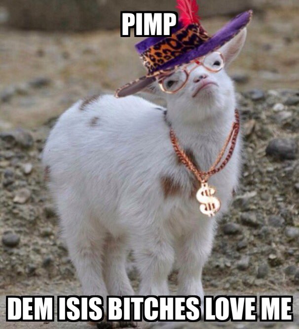 JeMoeder_91's tweet photo. #Daeshbags pimp love! https://t.co/Ryk2FX4sNf