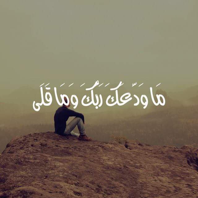 esraabahaa2's tweet photo. https://t.co/8bJrJY0uvx