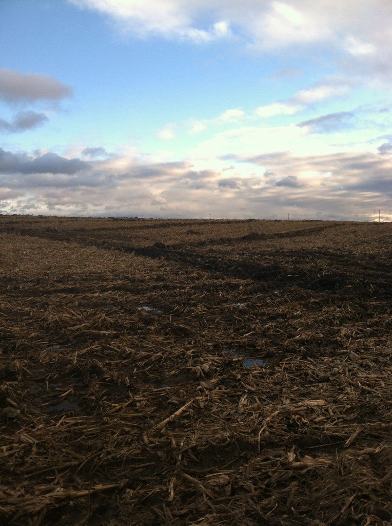 CErbsen's tweet photo. Tiling with the laser controlled trencher yesterday! #Tile15 #Farm365 https://t.co/gDfVuVp14i
