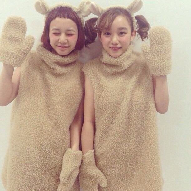 ベックちゃん ベックちゃん