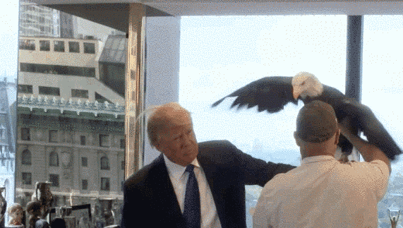SiMcKeag's tweet photo. Can @RealRonHoward pls start narrating #Trump's campaign? The Bluth family couldn't even pull this off! @arresteddev https://t.co/ZEZzbtlVJW