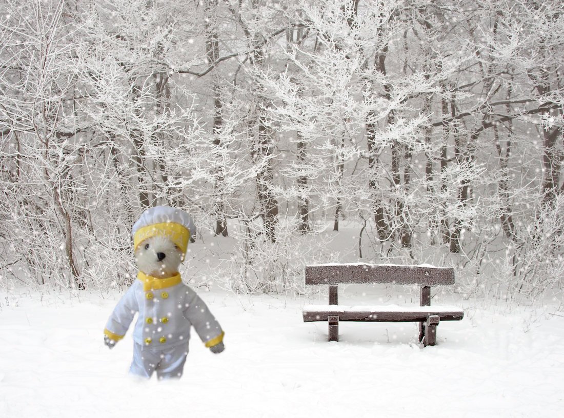 Ronja Furrington tweet media