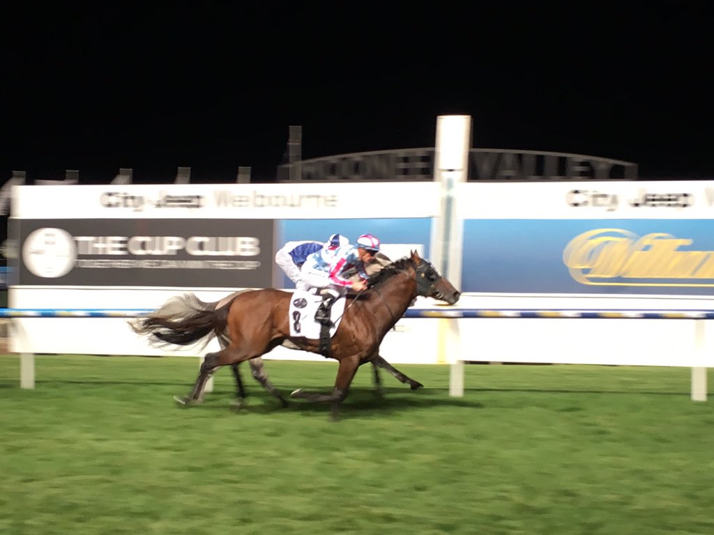 Last stride win to GOODBYE TOULOUSE in <a href="/cupclub/">The Cup Club</a> Handicap over Harbour Grey for <a href="/cmaherracing/">Ciaron Maher Racing</a>!