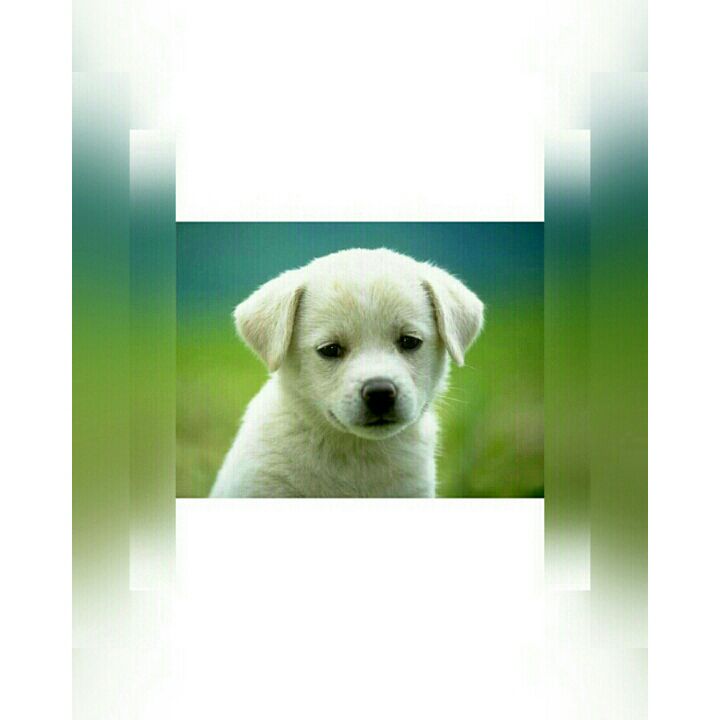 kingsofthz's tweet image. 