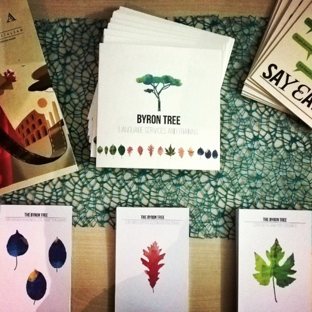 ByronTree's tweet photo. La #ByronTree รจ anche su #Instagram! Follow us! https://t.co/ACWIugdlEz #ByronSchool https://t.co/yGGHRx6pcY