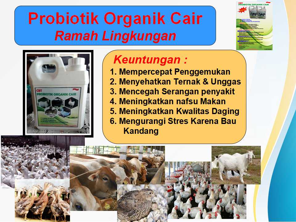 Karya Anak Daerah kaltim yang patut di hargai