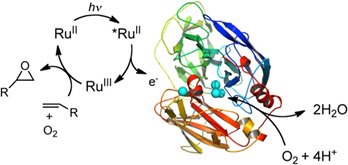 CNRS Chimie tweet media