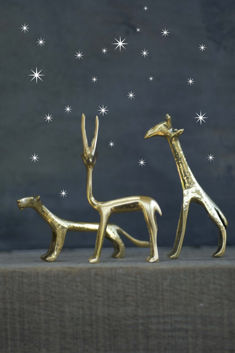 OtagoDesign's tweet photo. Last minute #discounts on @OtagoDesign Products in time for #Christmas https://t.co/Sd020LjdJE https://t.co/vAtAeKn69y