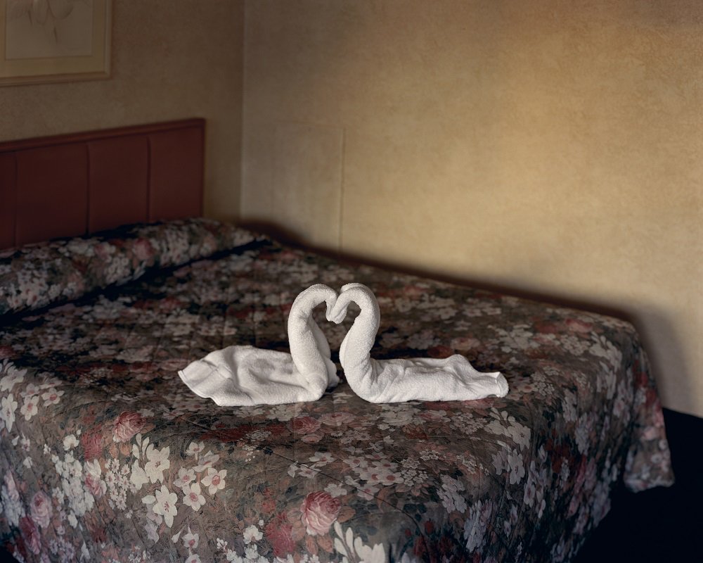 ROOMS_Magazine's tweet photo. Wonderful #AlecSoth's Gathered Leaves at @sciencemuseum #review by @alldestructo https://t.co/2tUQNE6QJj https://t.co/2Ti781tYLz