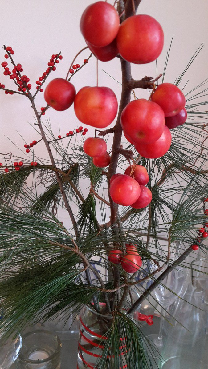 Mal was anderes als #Adventsdeko :-)