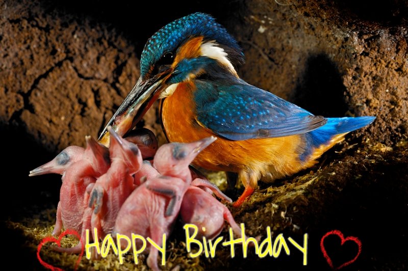 Happy Birthday to Anne Heywood & Liz Smith. And if you have a Birthday today have a great day   
