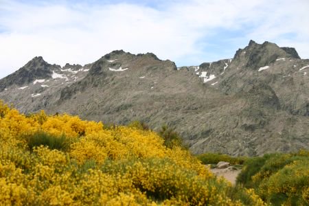 tierradesabor's tweet photo. RT @patrimonionat: El pico Torrecerredo en Picos de Europa tiene una altitud de 2.648 metros #Leonesp #DIM15 https://t.co/pMCHJA10Q6