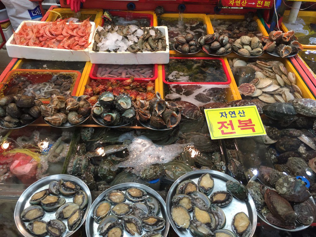 SFDropouts's tweet photo. Three Days in Buzzing #Busan... #travel #digitalnomad #Korea #SouthKorea https://t.co/pFuZVmVmc3 https://t.co/xlDVzRAR9j