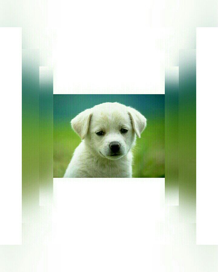 kingsofthz's tweet image. #smile