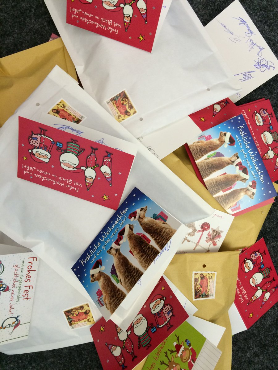net2net_Info's tweet photo. Die #net2net Weihnachtspost ist auf dem Weg! https://t.co/gqIgvJOVfY