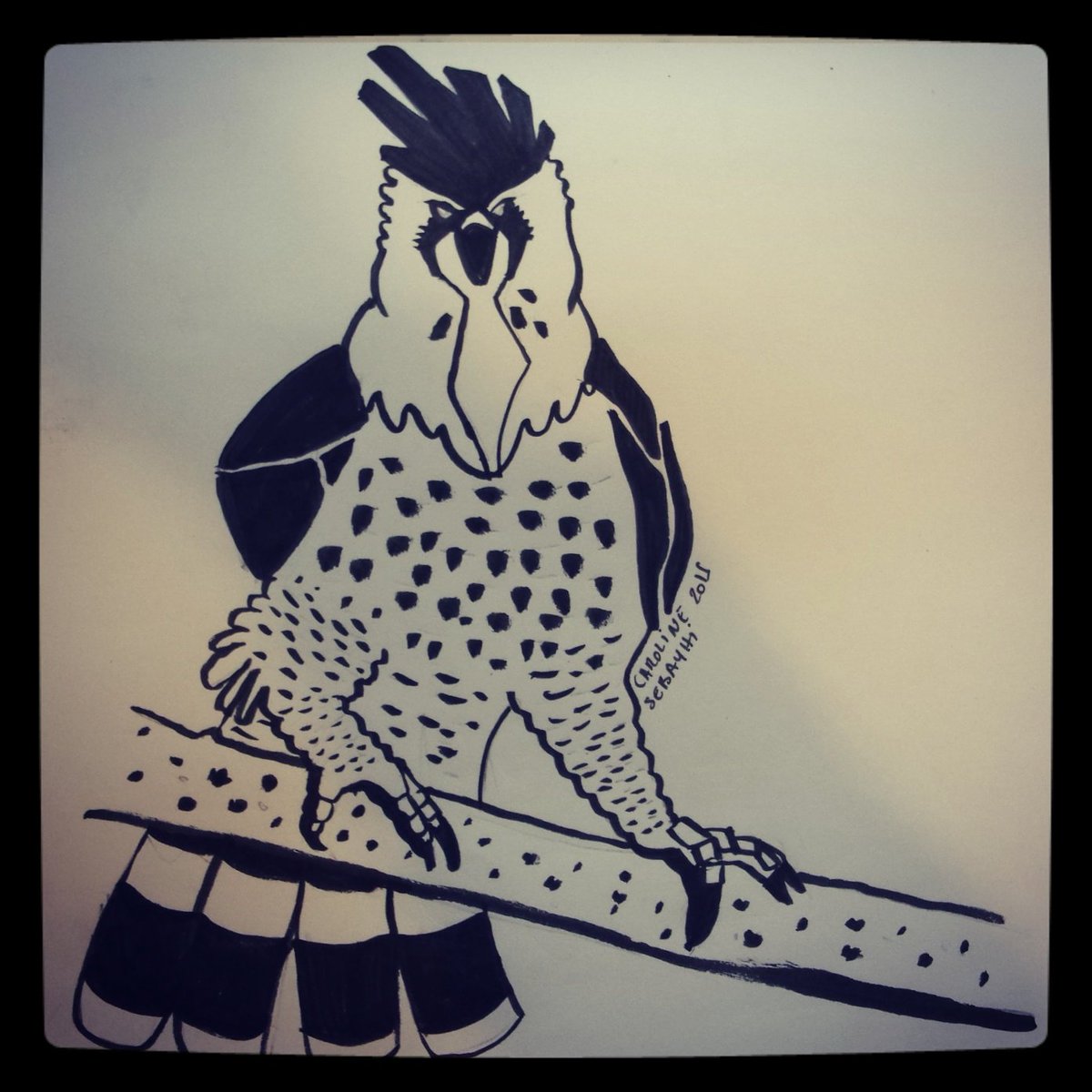 UmbreoNoctie's tweet image. #spizaetus . Je voulais dessiner un aigle alors...