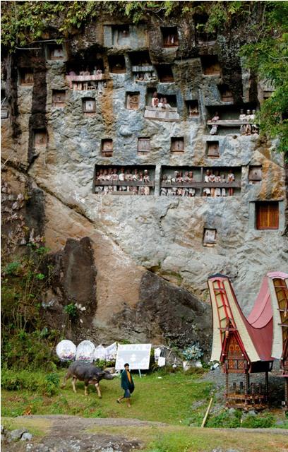 wonderfulid's tweet photo. Tana #Toraja: Land of Heavenly Kings https://t.co/q6ByRhIKxY #WonderfulIndonesia https://t.co/ol8CWyXIgb