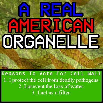 TheCellularWall's tweet photo. #lchsbio #organellewars https://t.co/1MkntYDnXx