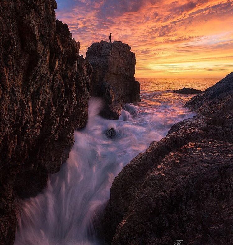 NatureHighDef's tweet photo. Big Sur, California 🔥 https://t.co/k2nO8rzsVn