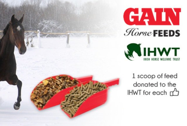 GAINEquine's tweet photo. The Help a Horse in Need @IHWTMoscowFlyer Campaign already has 300 likes thanks everyone! https://t.co/6TPPpn6nf5 https://t.co/5EWn7IEUyF