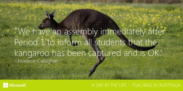 mieexprt tweet media