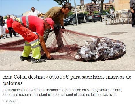 PartidoPACMA's tweet photo. Colau destina 407.000€ en ejecución de palomas, incumpliendo su promesa de control no letal https://t.co/2I0jdkj3Yv https://t.co/1SmJHHa6ty