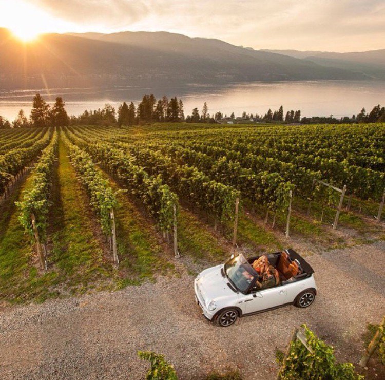 Tourism Kelowna tweet media