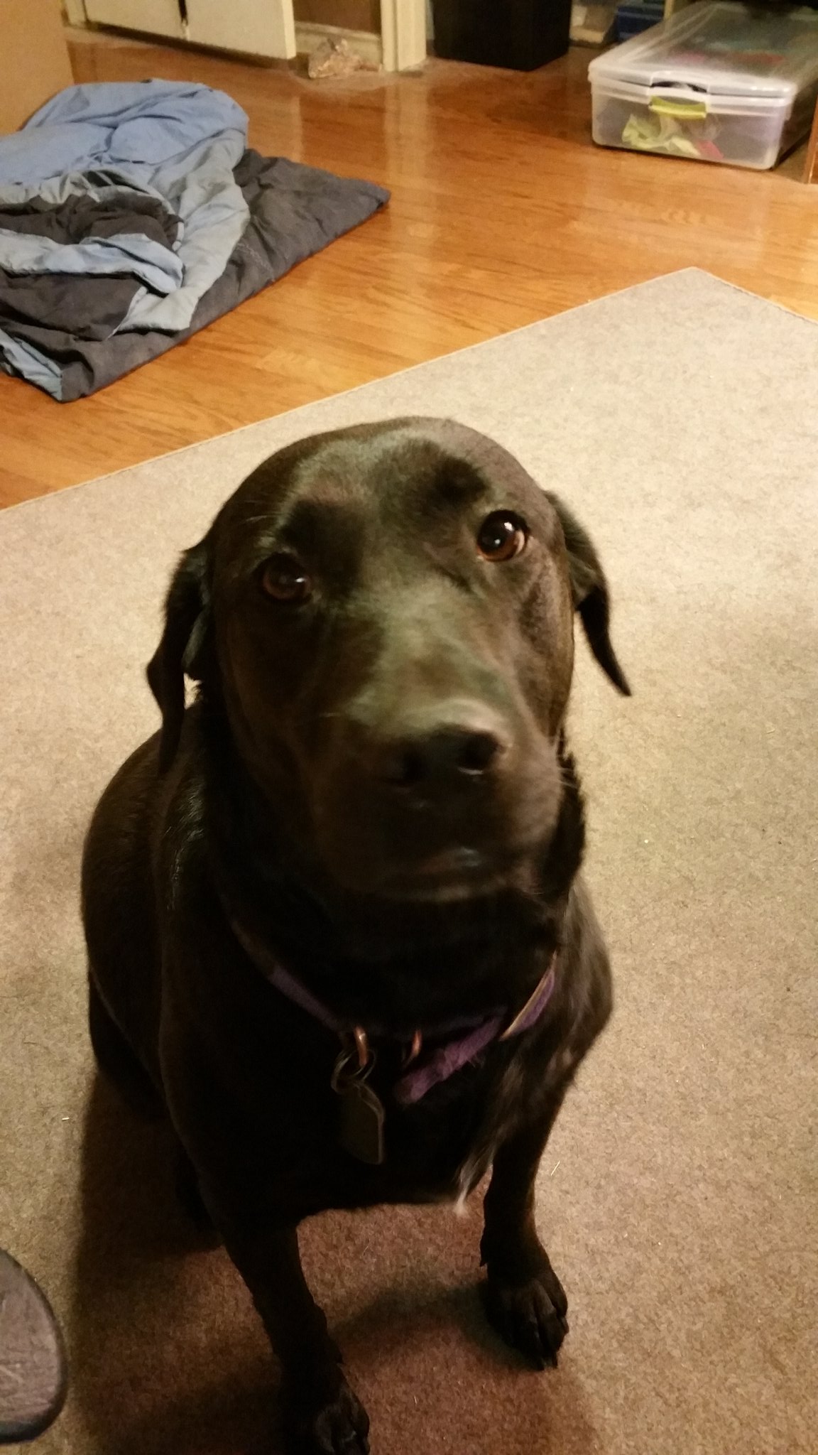 Happy birthday from my Nikki Sixx to 