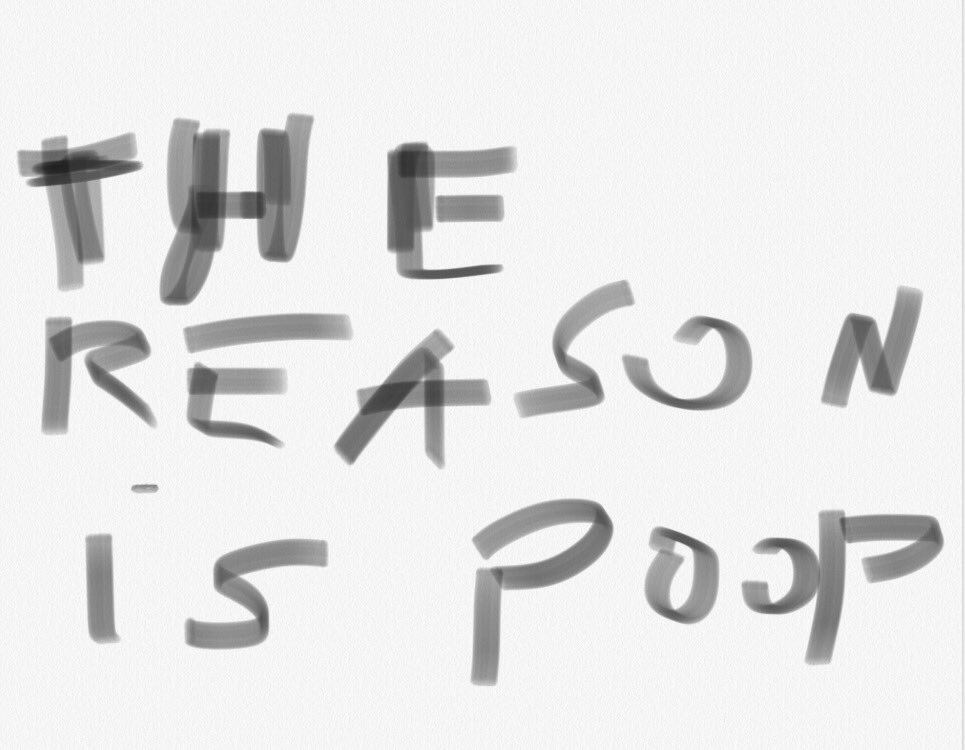 Gonzalo Vega tweet media