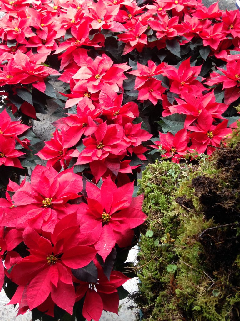 Buenos días #winelovers.  El #vino es cultura.